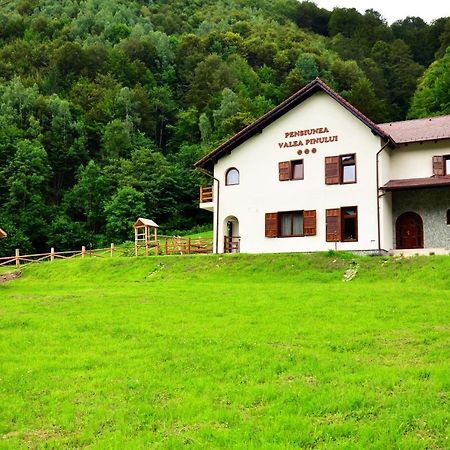 Pensiunea Valea Pinului Rau Sadului Exterior foto