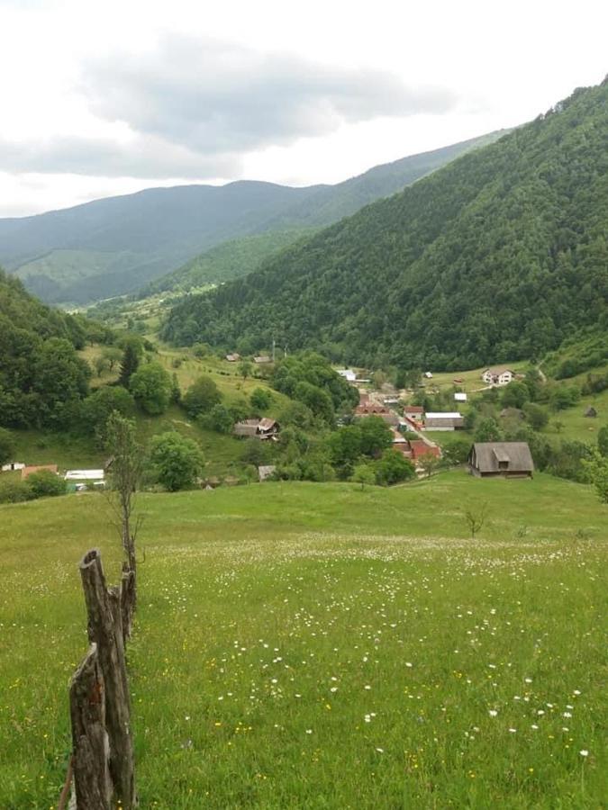 Pensiunea Valea Pinului Rau Sadului Exterior foto