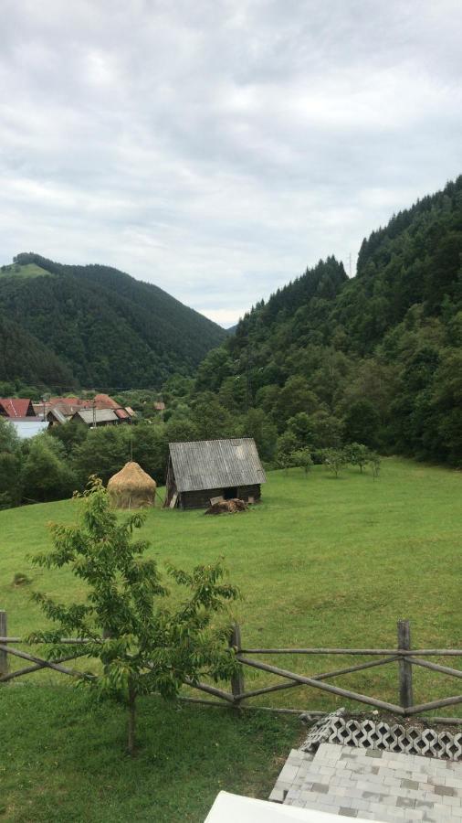 Pensiunea Valea Pinului Rau Sadului Exterior foto