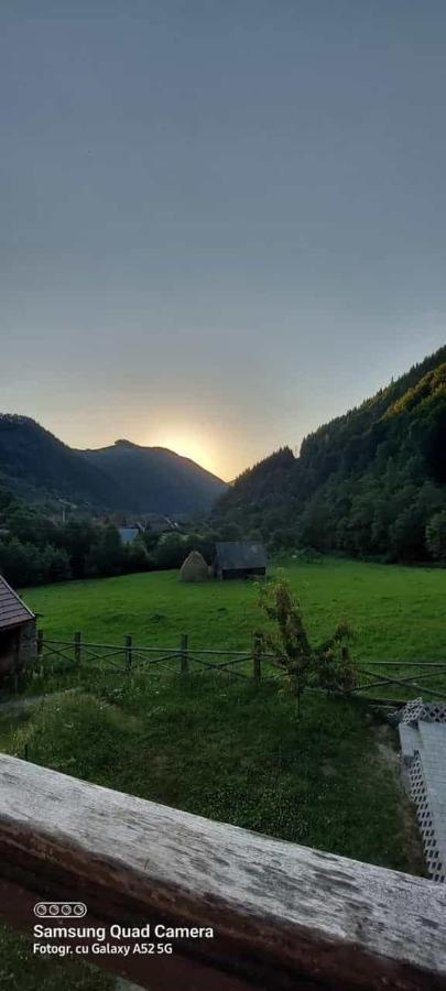 Pensiunea Valea Pinului Rau Sadului Exterior foto