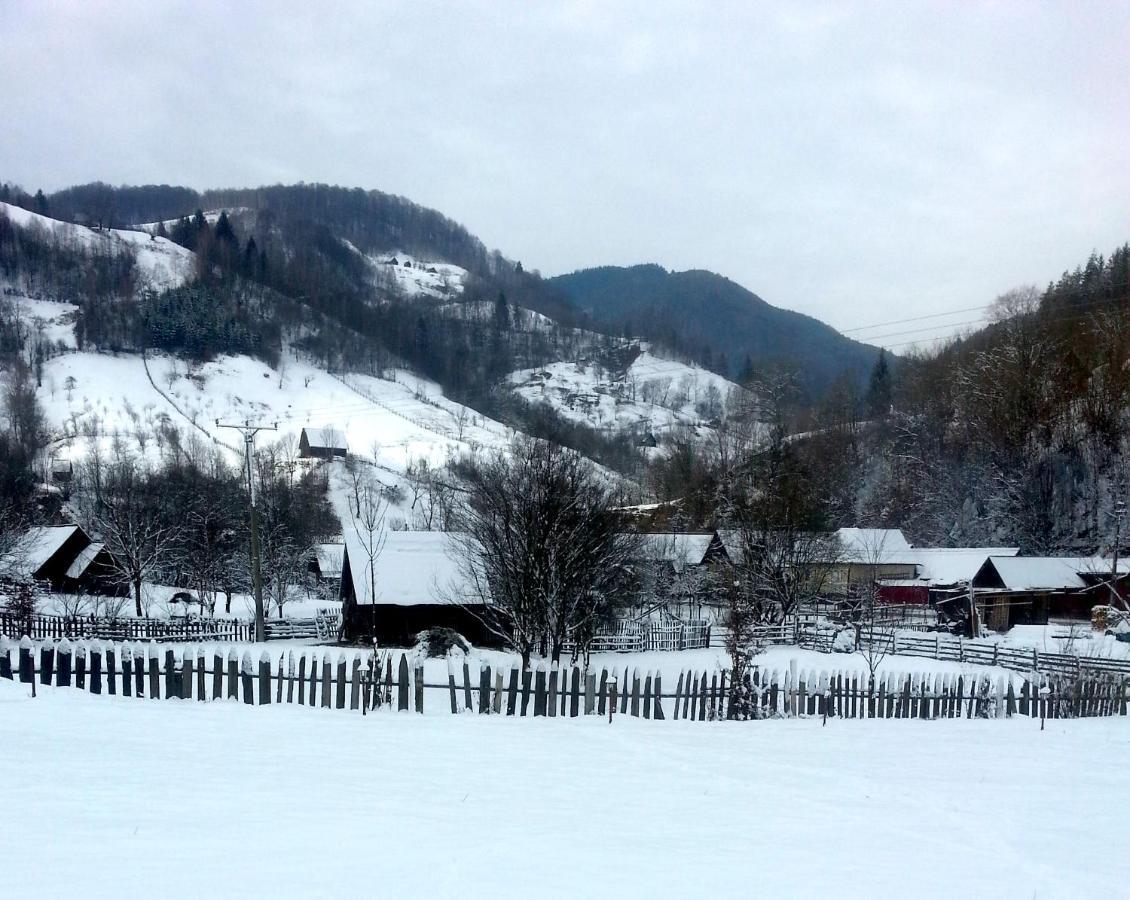 Pensiunea Valea Pinului Rau Sadului Exterior foto